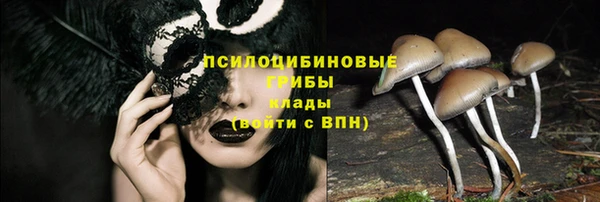 дурь Алзамай