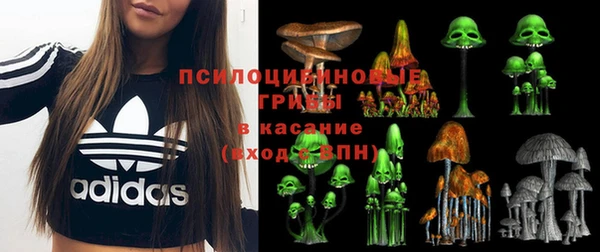 a pvp Алексеевка