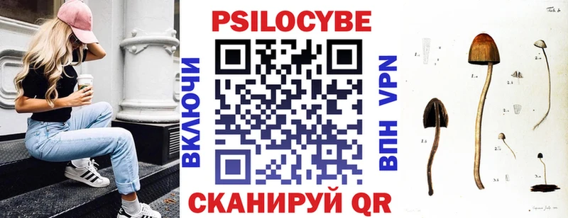 Купить Галич Галлюциногенные грибы Cubensis